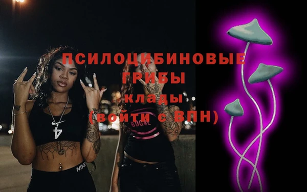 гашик Володарск