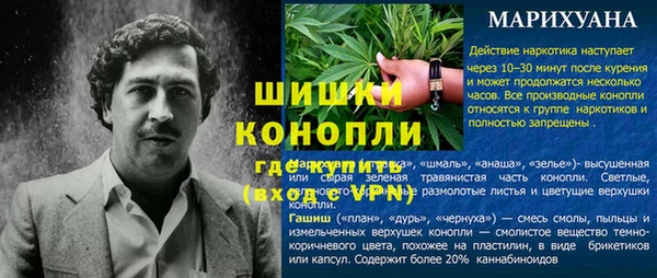 гашик Володарск