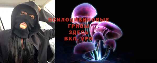 шишки Волосово