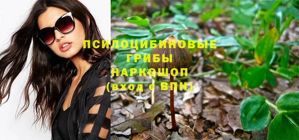 ГАЛЛЮЦИНОГЕННЫЕ ГРИБЫ Волоколамск