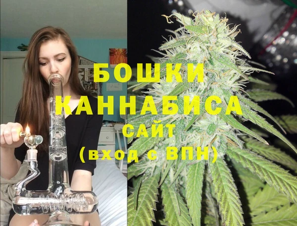 шишки Волосово
