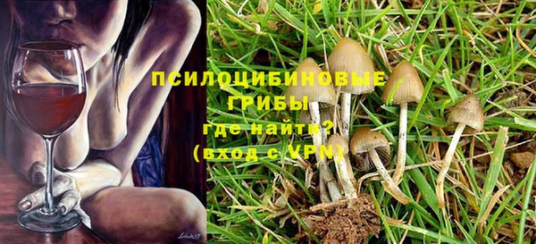 гашик Володарск