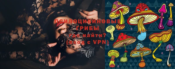 шишки Волосово