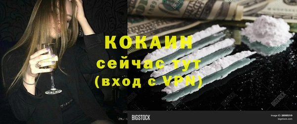 шишки Волосово
